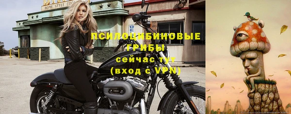 мяу мяу кристалл Няндома