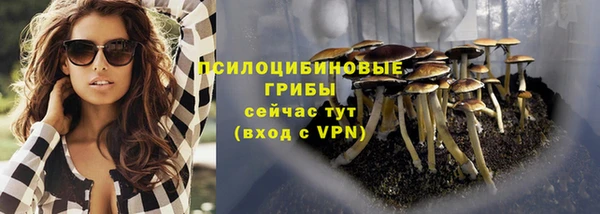ECSTASY Нязепетровск
