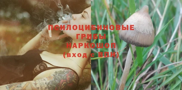 мяу мяу мука Новодвинск